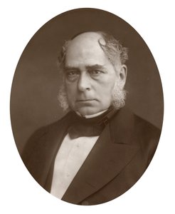 Henry Bessemer, İngiliz mühendis ve mucit, 1881 by Lock and Whitfield