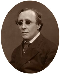 Henry Fawcett, Milletvekili, Cambridge Üniversitesi