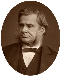 Profesör Thomas Henry Huxley, 1880. by Lock and Whitfield