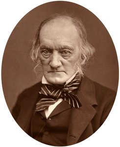 Richard Owen, 1878. by Lock and Whitfield