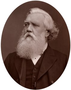 Sağ Hon Austen Henry Layard DCL, İngiltere