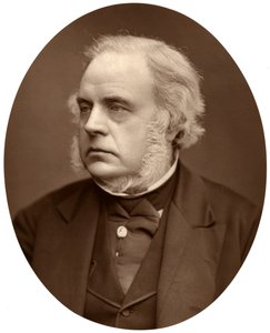 Sağ Hon John Bright, Birmingham Milletvekili, 1876. by Lock and Whitfield