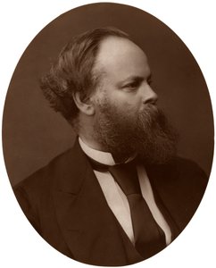 Samuel Plimsoll, Esq, Milletvekili, İngiliz Liberal politikacı ve sosyal reformcu, 1876. by Lock and Whitfield