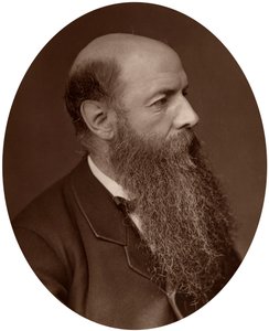 Sir Wilfrid Lawson, politikacı, Carlisle milletvekili, 1882. by Lock and Whitfield