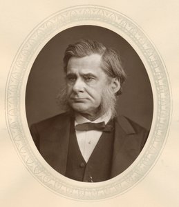 Thomas, Henry Huxley, İngiliz biyolog, 1877 by Lock and Whitfield