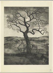 Etikhove Vieux cheval en repos'ta bir çayırda at (orijinal başlık) by Lodewijk Schelfhout (signed by artist)
