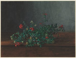 Kır Çiçekleriyle Natürmort, 1864. by Léon Bonvin