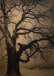  by Leon Spilliaert
