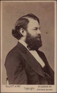 Kemancı ve besteci Joseph Joachim
