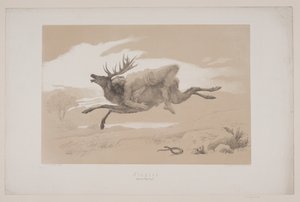 Kaçış, sayfa. 11, Christian Winther