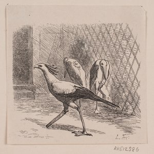 Jardin des Plantes Sekreteri by Lorenz Frølich