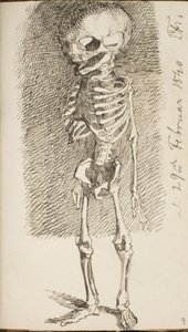 Ayakta duran bir iskeletin taslağı by Lorenz Frølich