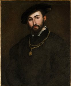 Girolamo degli Azzoni Avogaro (1467-1519) par Lotto, Lorenzo (1480-1556) portresi. Tuval üzerine yağlı boya, boyut: 67x52, 16. Yüzyılın İlk Yarısı, Fondazione Cini, Venedik by Lorenzo Lotto