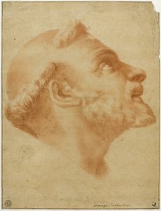 Saint Dominic