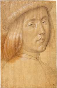  by Lorenzo di Credi