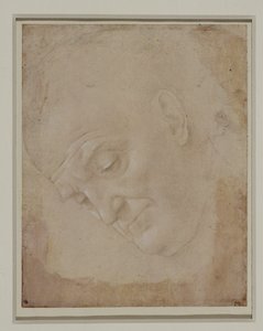 Dörtte üçü sola dönük kel bir adam portresi ... by Lorenzo di Credi