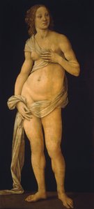 Venüs by Lorenzo di Credi