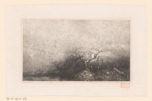 Havuz kenarında bir ağaçla manzara Farklı manzaralar (dizi başlığı) Croquis du voyage de 1843 (dizi adı)