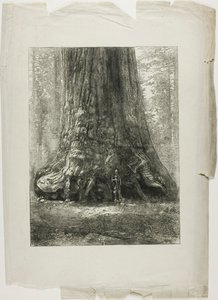  by Louis Auguste Lepère