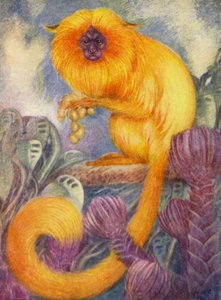 Hayvanat Bahçesinde: Marmoset Monkey (renkli taş) by Louis Augustus Sargent