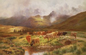 Strathfillan, Perthshire