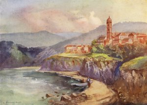 Nehirden Tirnovo