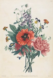 Doğadan Sonra Boyanmış Çiçek ve Meyve Koleksiyonu: Foxglove Buketi, Clematis..., 1805.