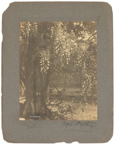 Tiffany Studios, 1898-1920 dolayları (fotoğraf s/b) by Louis Comfort Tiffany