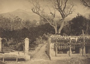 Dağlar ile Tarım Manzarası by Louis Crette