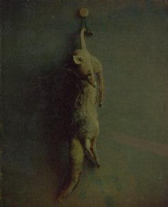 Fox, yaklaşık 1870. by Louis Ducos du Hauron