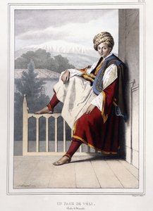 Yunan ve Osmanlı Portresi, Voyage a Athenes et a Constantinople