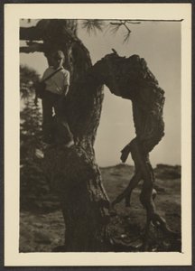  by Louis Fleckenstein