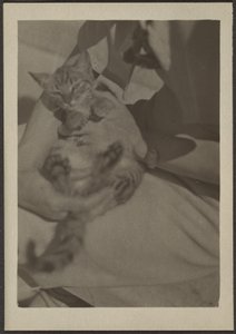  by Louis Fleckenstein