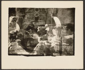  by Louis Fleckenstein