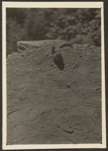  by Louis Fleckenstein