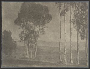  by Louis Fleckenstein