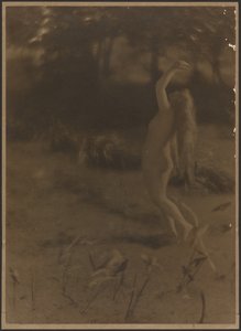  by Louis Fleckenstein