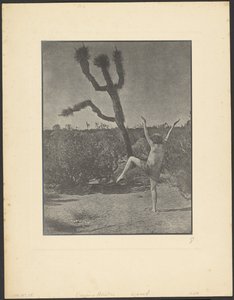  by Louis Fleckenstein