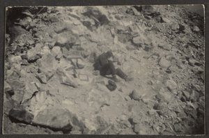  by Louis Fleckenstein