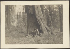  by Louis Fleckenstein