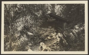  by Louis Fleckenstein