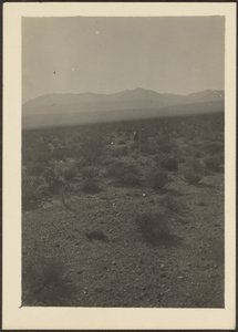[Manzara] by Louis Fleckenstein