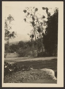  by Louis Fleckenstein