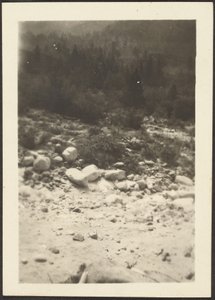  by Louis Fleckenstein