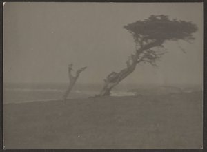  by Louis Fleckenstein