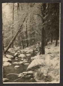  by Louis Fleckenstein