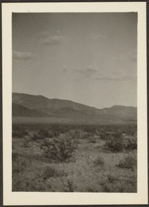  by Louis Fleckenstein