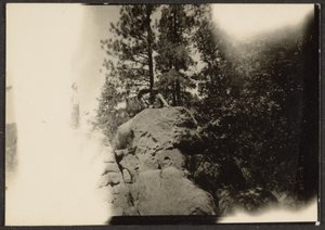  by Louis Fleckenstein