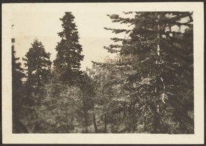  by Louis Fleckenstein