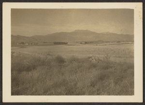  by Louis Fleckenstein